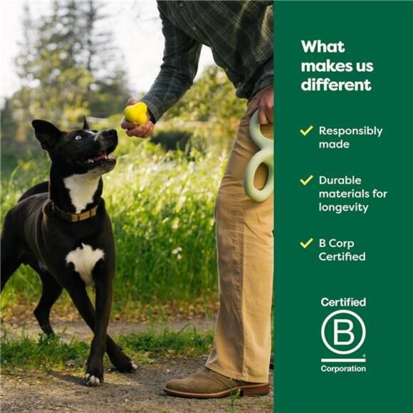 Flying Disc Toy for Dogs and Puppies, Interactive Dog Toys, Saucer Floats - Picture 6 of 7